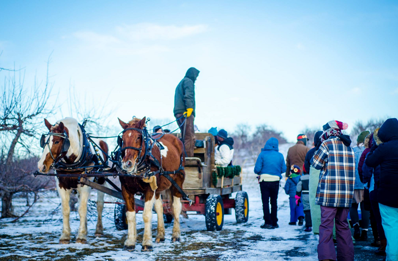 Fifth annual winter wassail