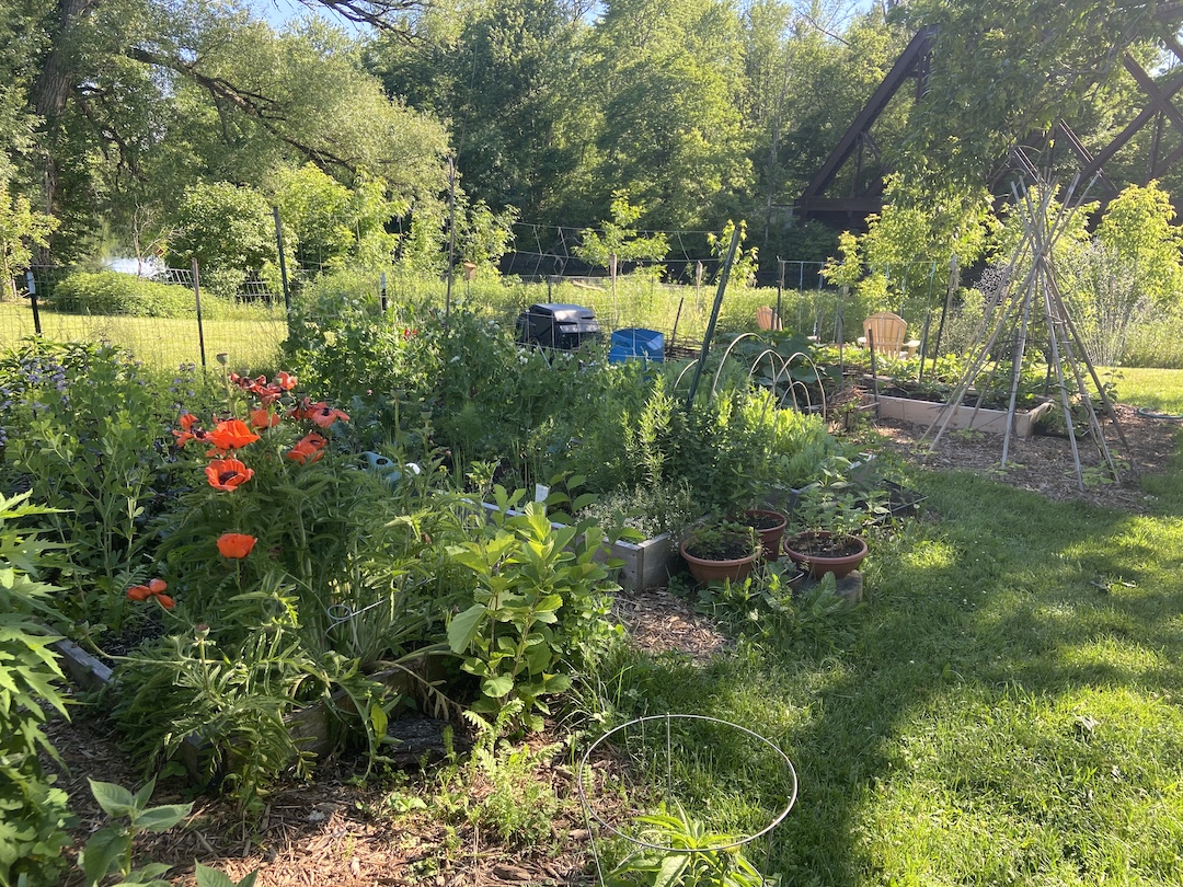 Let's Talk Gardening With Megan Brakeley MiniBury