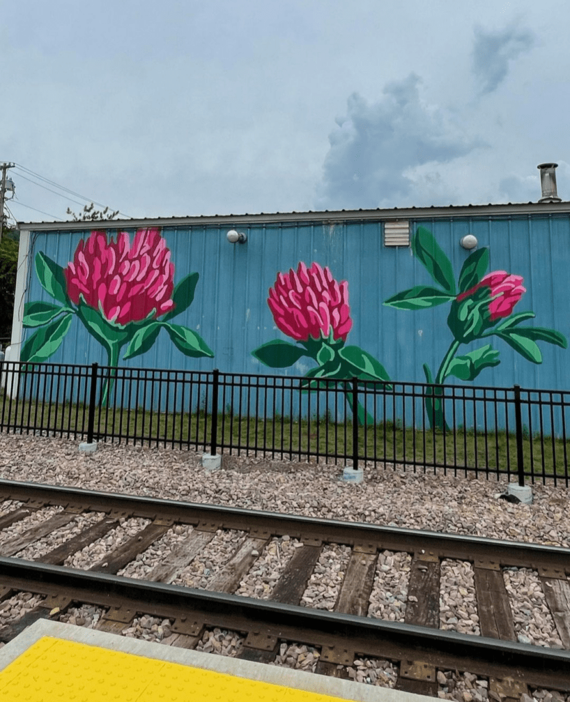 New Murals Are Popping Up In Middlebury