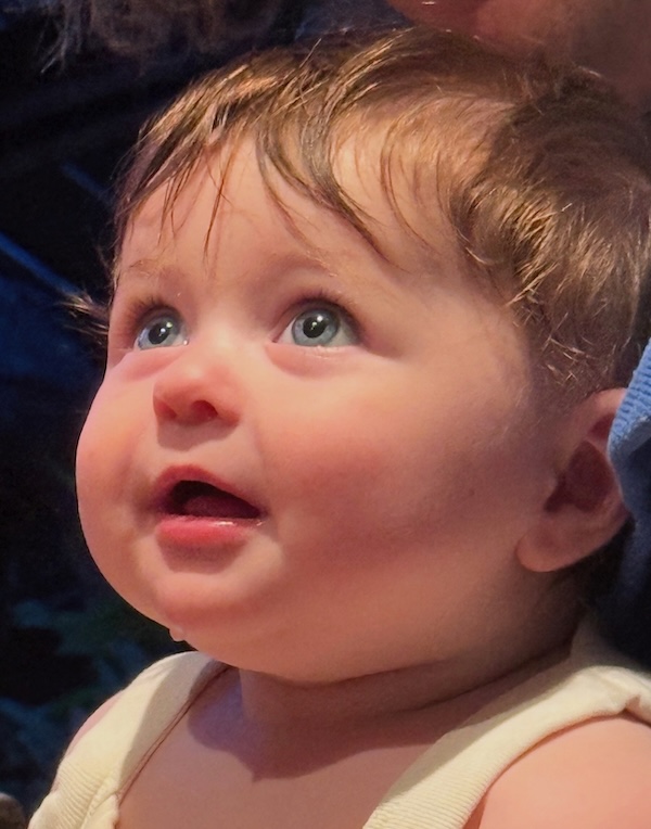 A baby looks expectantly upward